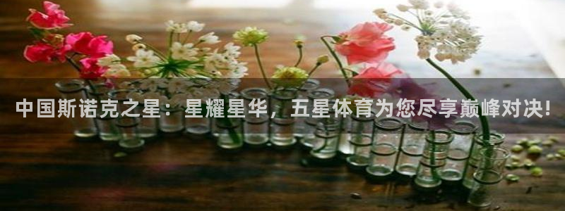 松鼠直播
