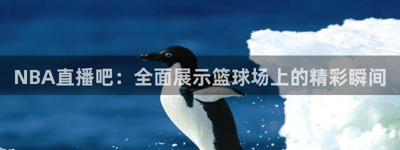 松鼠体育在线直播视频