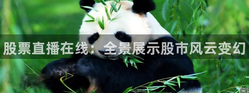 松鼠体育在线直播视频：股票直播在线：全景展示股市风云变幻