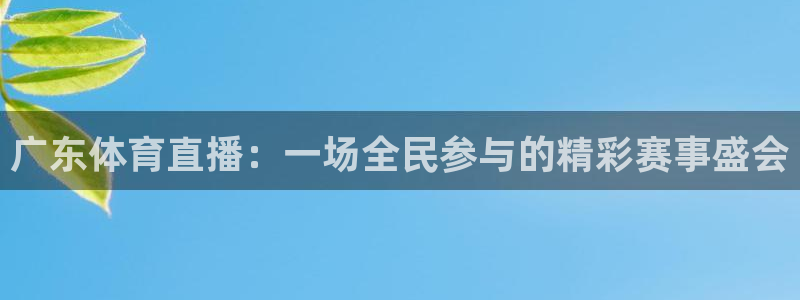 松鼠直播tv：广东体育直播：一场全民参与的精彩赛事盛会