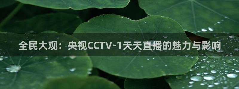 松鼠客户端：全民大观：央视CCTV-1天天直播的魅力与影响