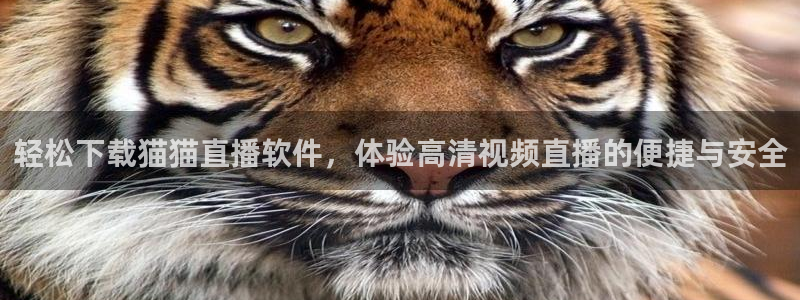 松鼠体育在线直播下载：轻松下载猫猫直播软件，体验高清视频直播的便捷与安全