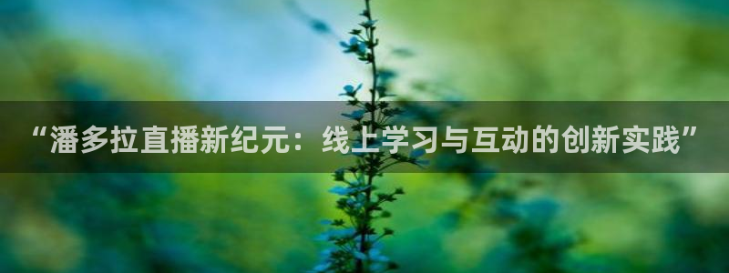 松鼠体育