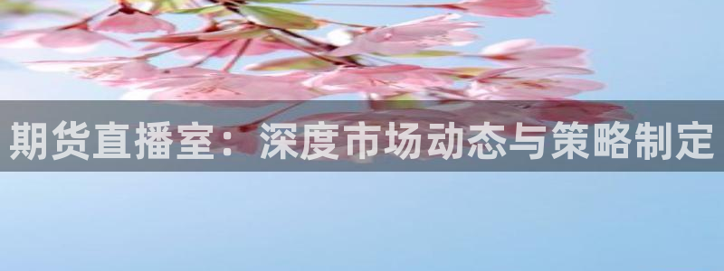 松鼠直播体育