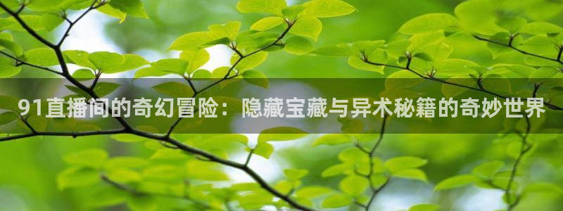 松鼠直播：91直播间的奇幻冒险：隐藏宝藏与异术秘籍的奇妙世界